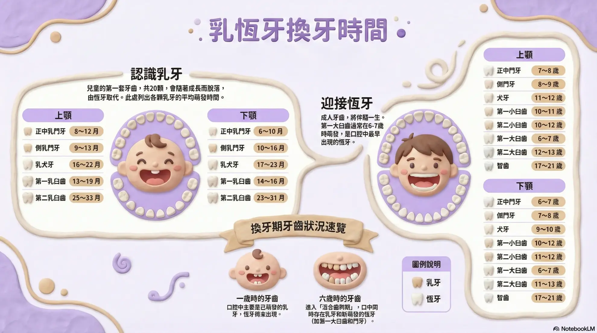 換牙的順序