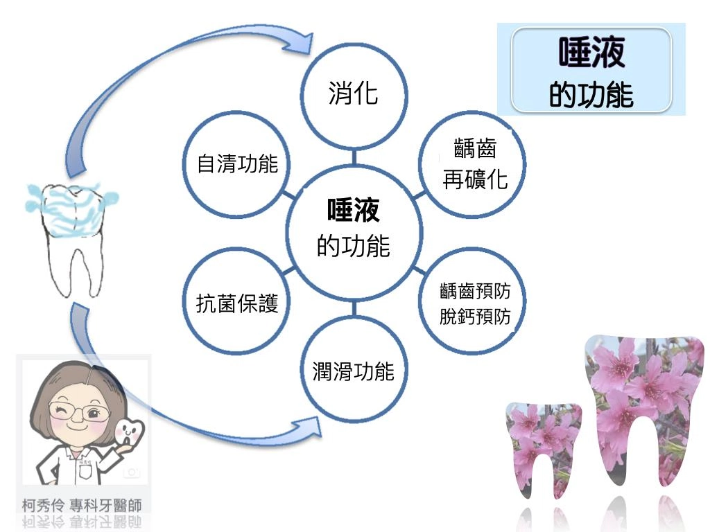 樂齡保健 樂齡保健